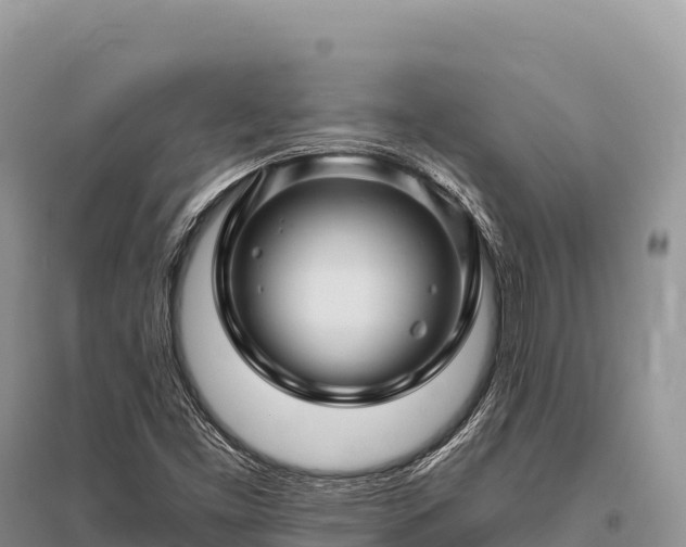 X0000096171453200801251139