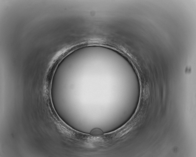 X0000096171454200801251139