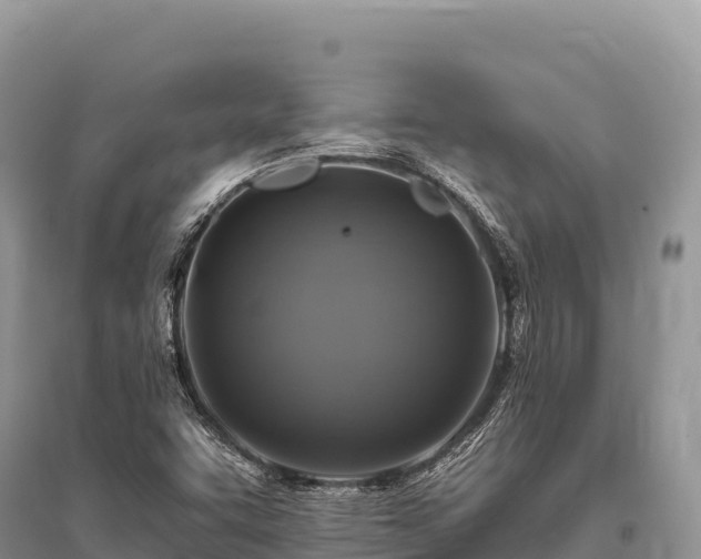 X0000096171455200801251139