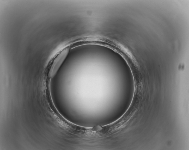 X0000096171456200801251139