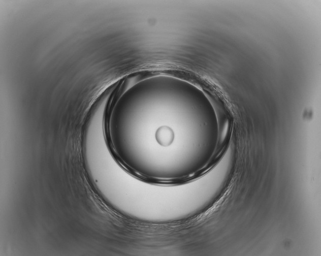 X0000096171457200801251139