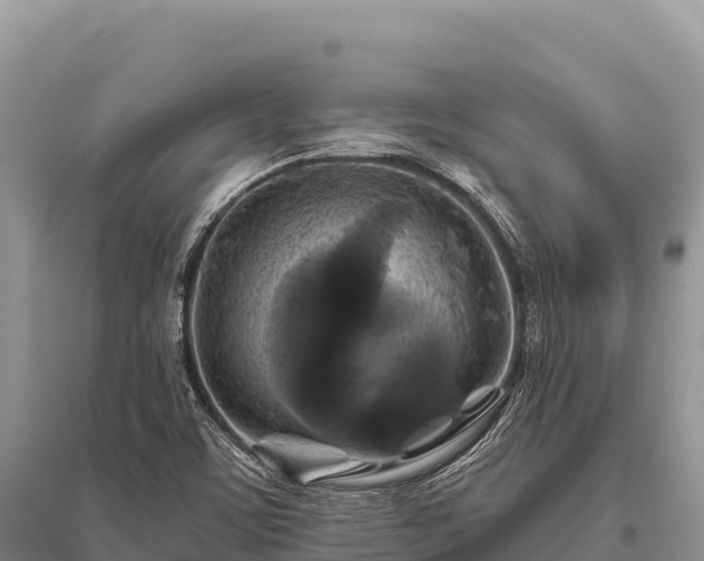 X0000096171459200801251139