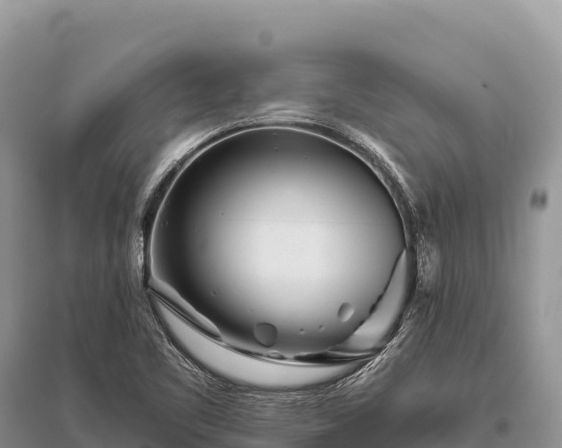 X0000096171461200801251139