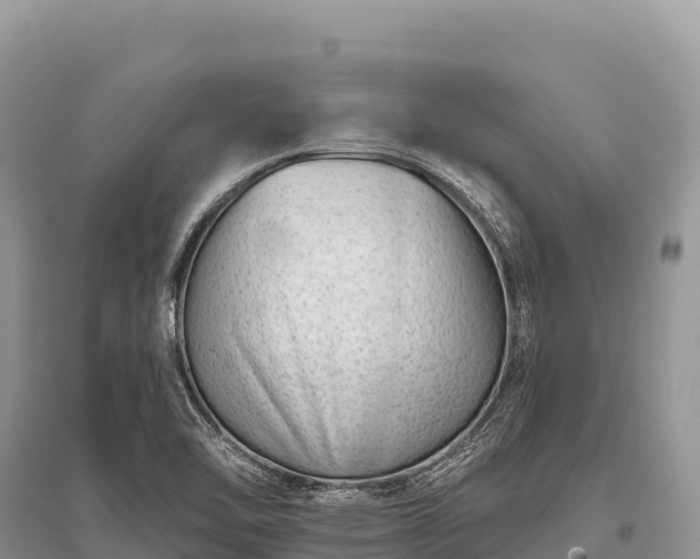 X0000096171462200801251139