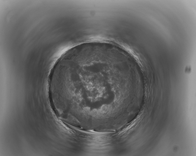 X0000096171463200801251139
