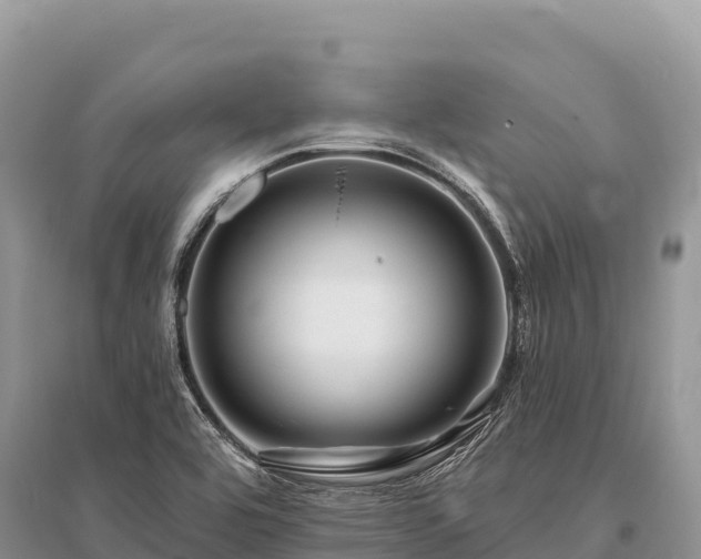 X0000096171464200801251139