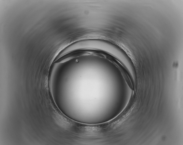 X0000096171465200801251139