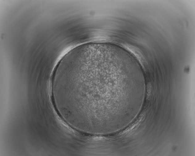 X0000096171467200801251139