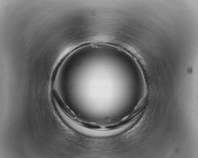 X0000096171469200801251139