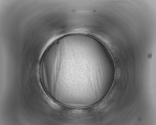 X0000096171470200801251139