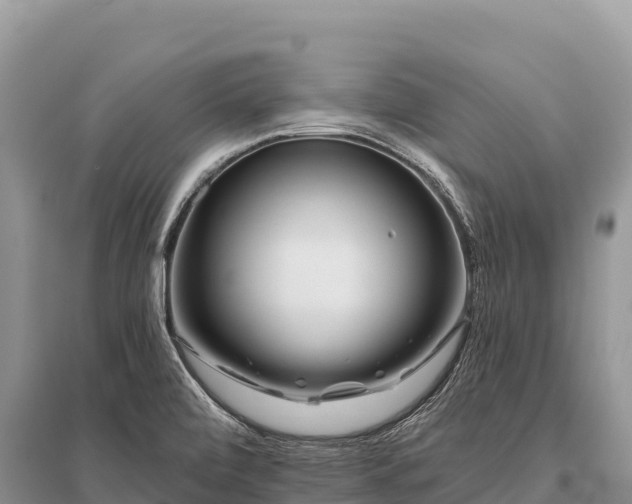 X0000096171472200801251139