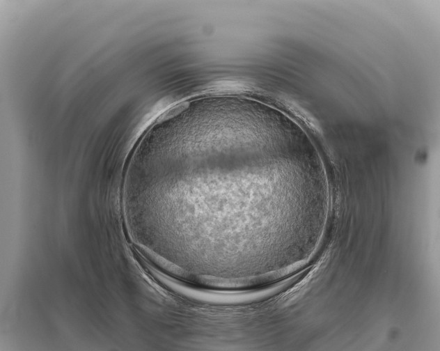 X0000096171473200801251139