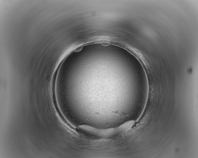 X0000096171475200801251139