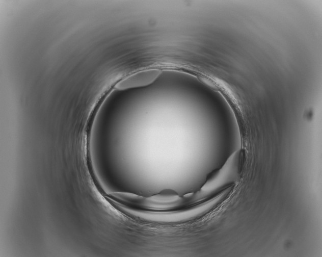 X0000096171476200801251139