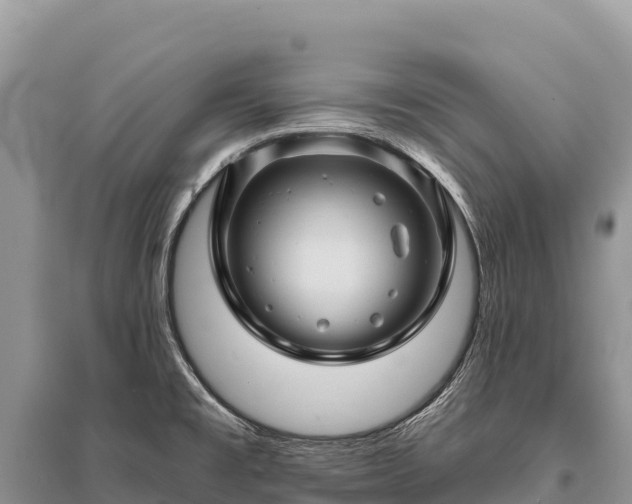 X0000096171477200801251139