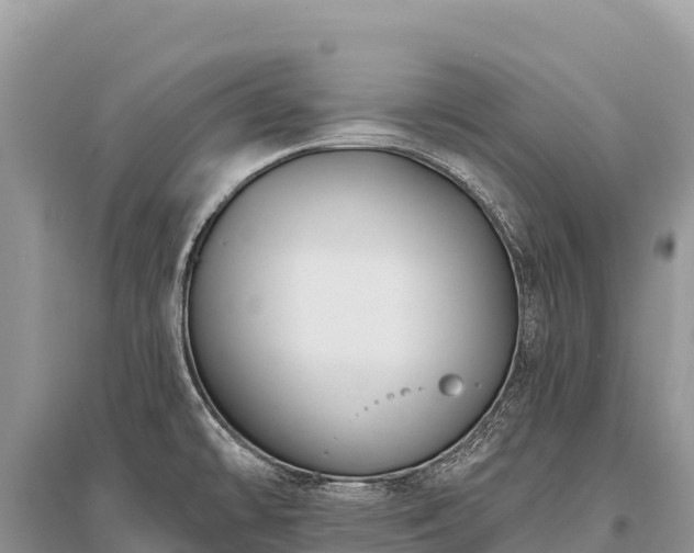 X0000096171478200801251139