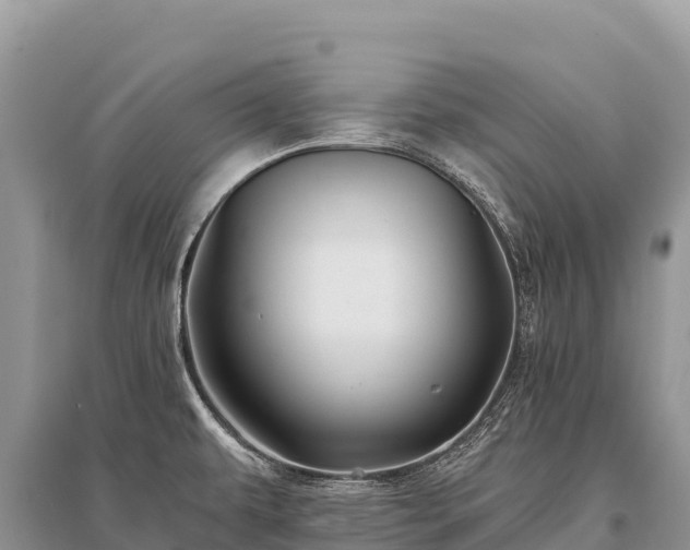 X0000096171479200801251139