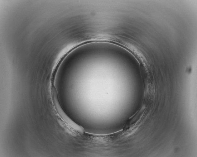 X0000096171480200801251139