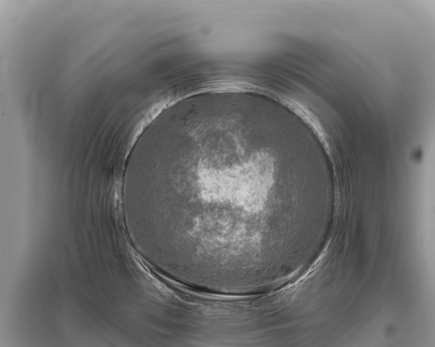X0000096171481200801251139