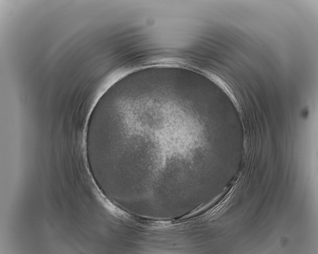 X0000096171482200801251139