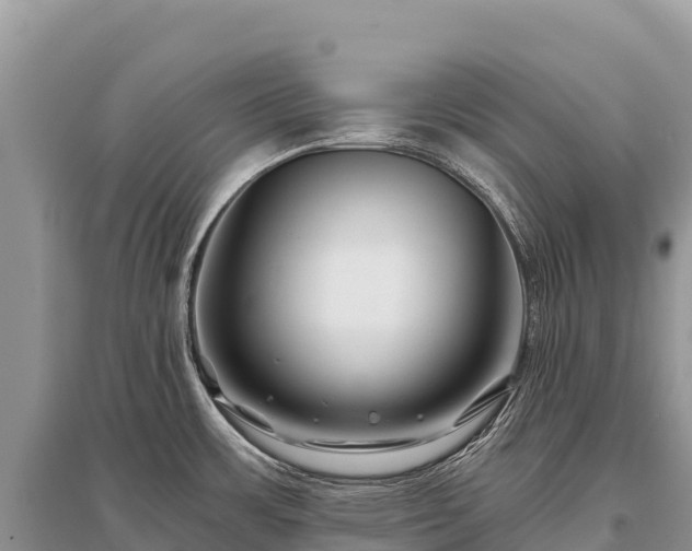 X0000096171483200801251139