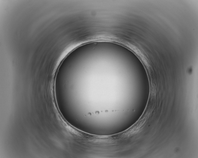X0000096171486200801251139