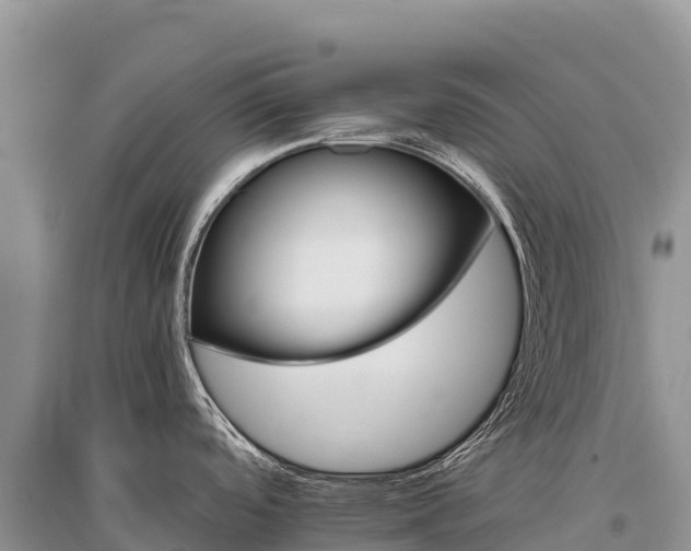 X0000096171488200801251139