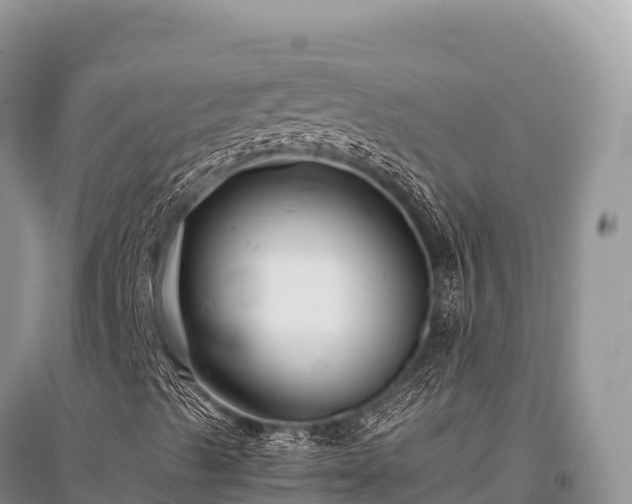 X0000096171489200801251138