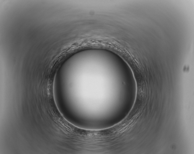 X0000096171490200801251138