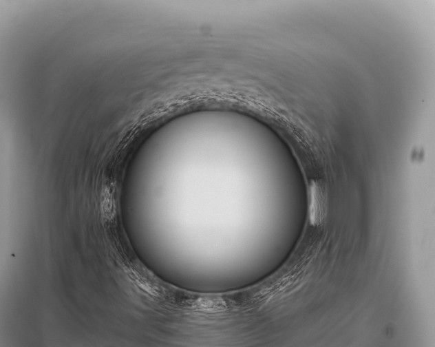 X0000096171491200801251138