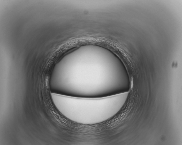 X0000096171492200801251138