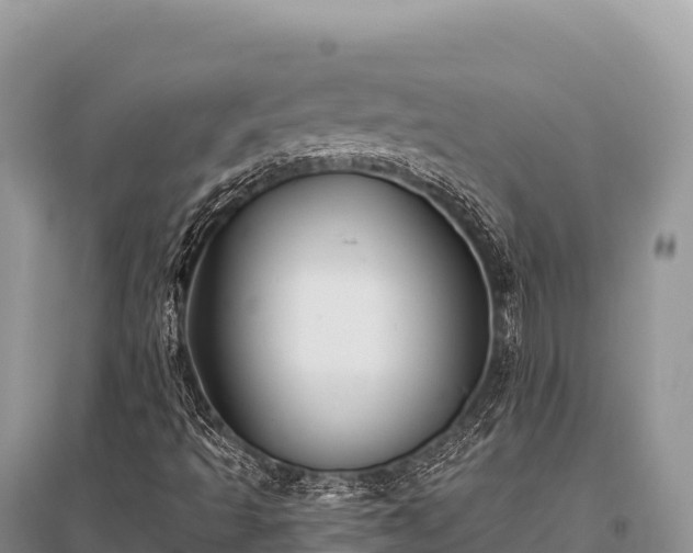 X0000096171493200801251138