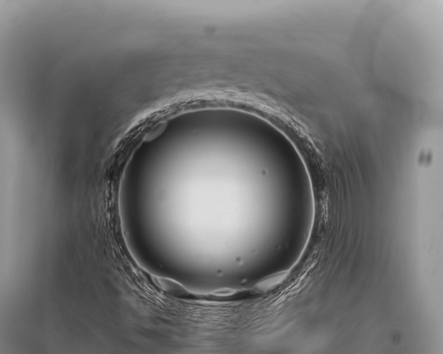 X0000096171494200801251138