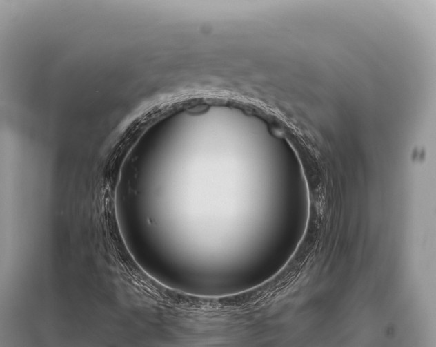 X0000096171495200801251138