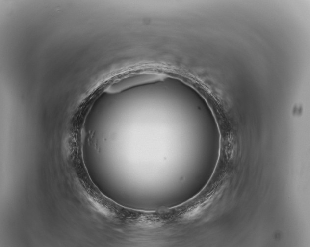 X0000096171496200801251138