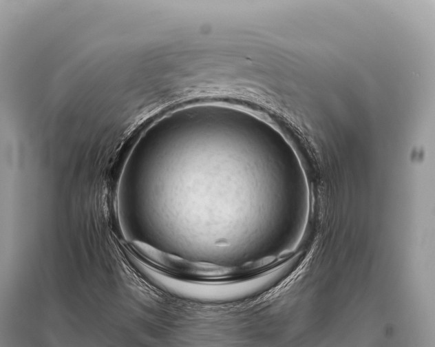 X0000096171497200801251138
