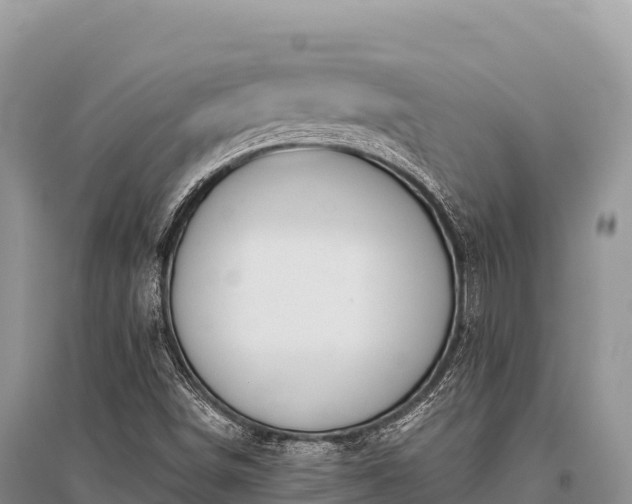 X0000096171498200801251138