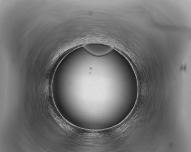 X0000096171499200801251138