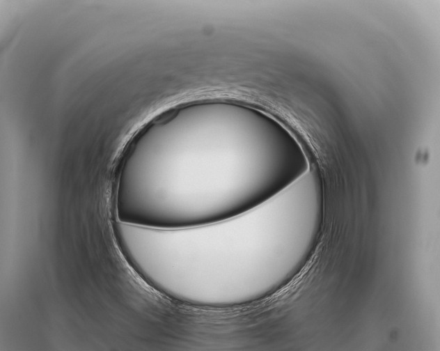X0000096171500200801251138