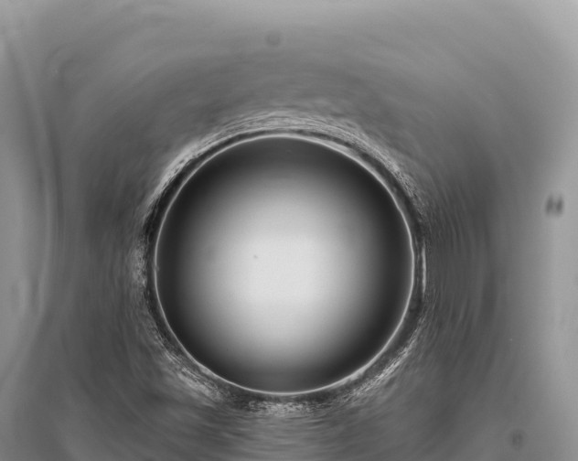 X0000096171501200801251138