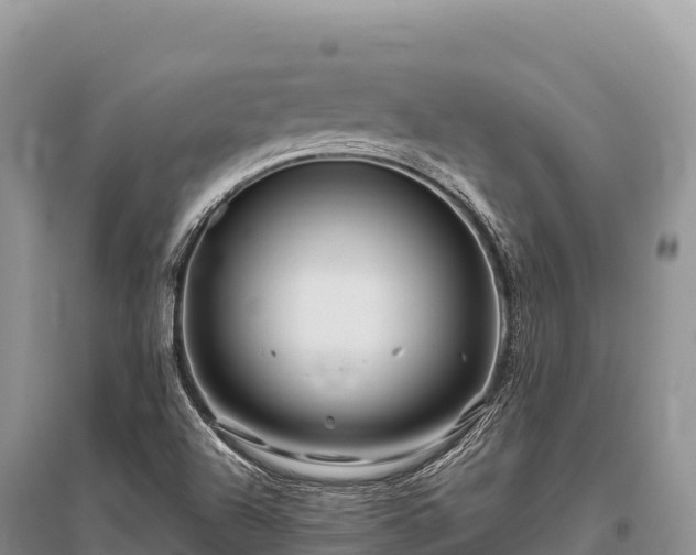 X0000096171504200801251138