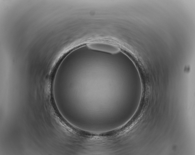 X0000096171506200801251138
