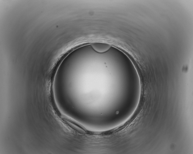 X0000096171507200801251138