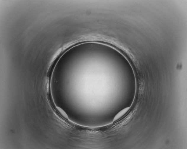 X0000096171509200801251138