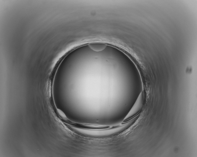 X0000096171510200801251138
