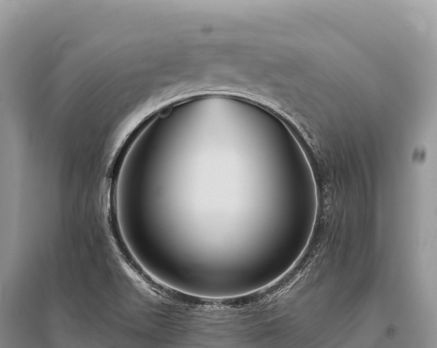 X0000096171511200801251138