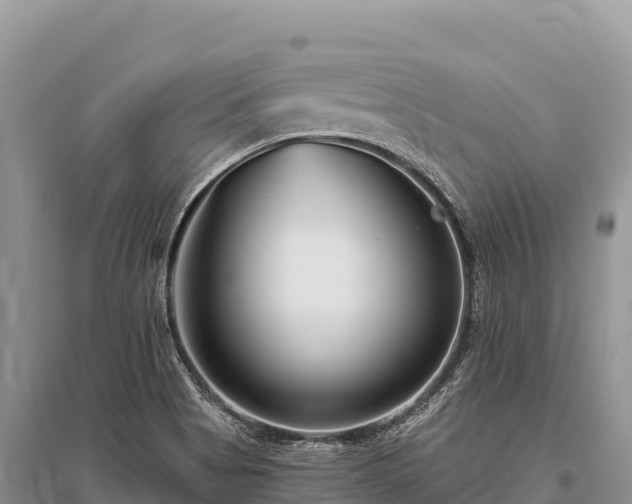 X0000096171513200801251138