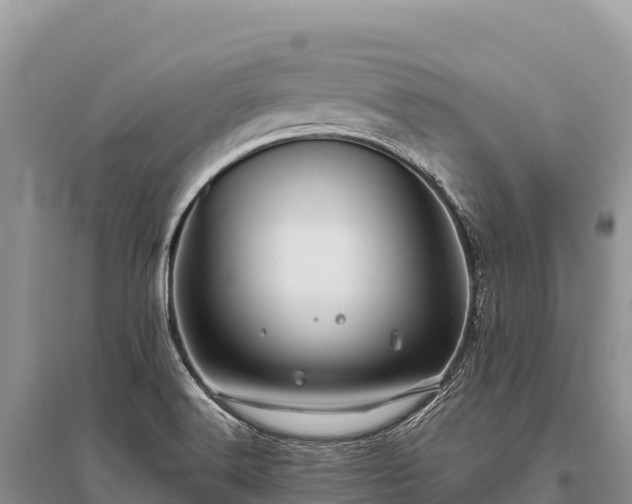 X0000096171516200801251138