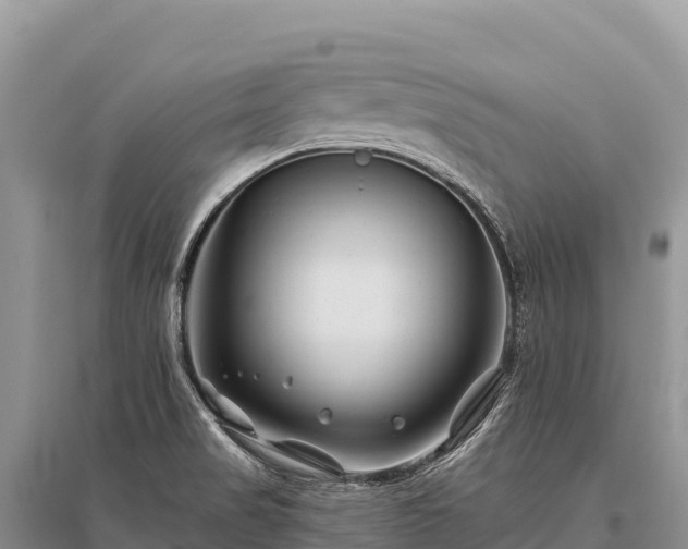 X0000096171517200801251138