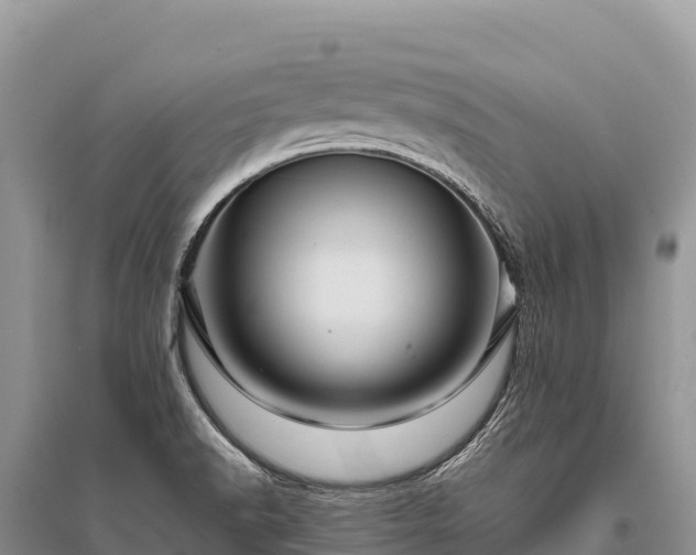 X0000096171518200801251138
